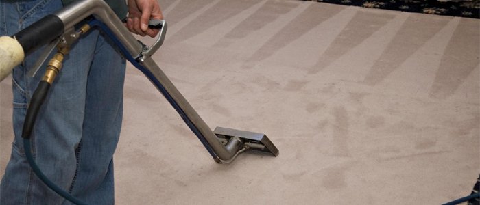 Commercial Carpet Cleaning Binx Northbay